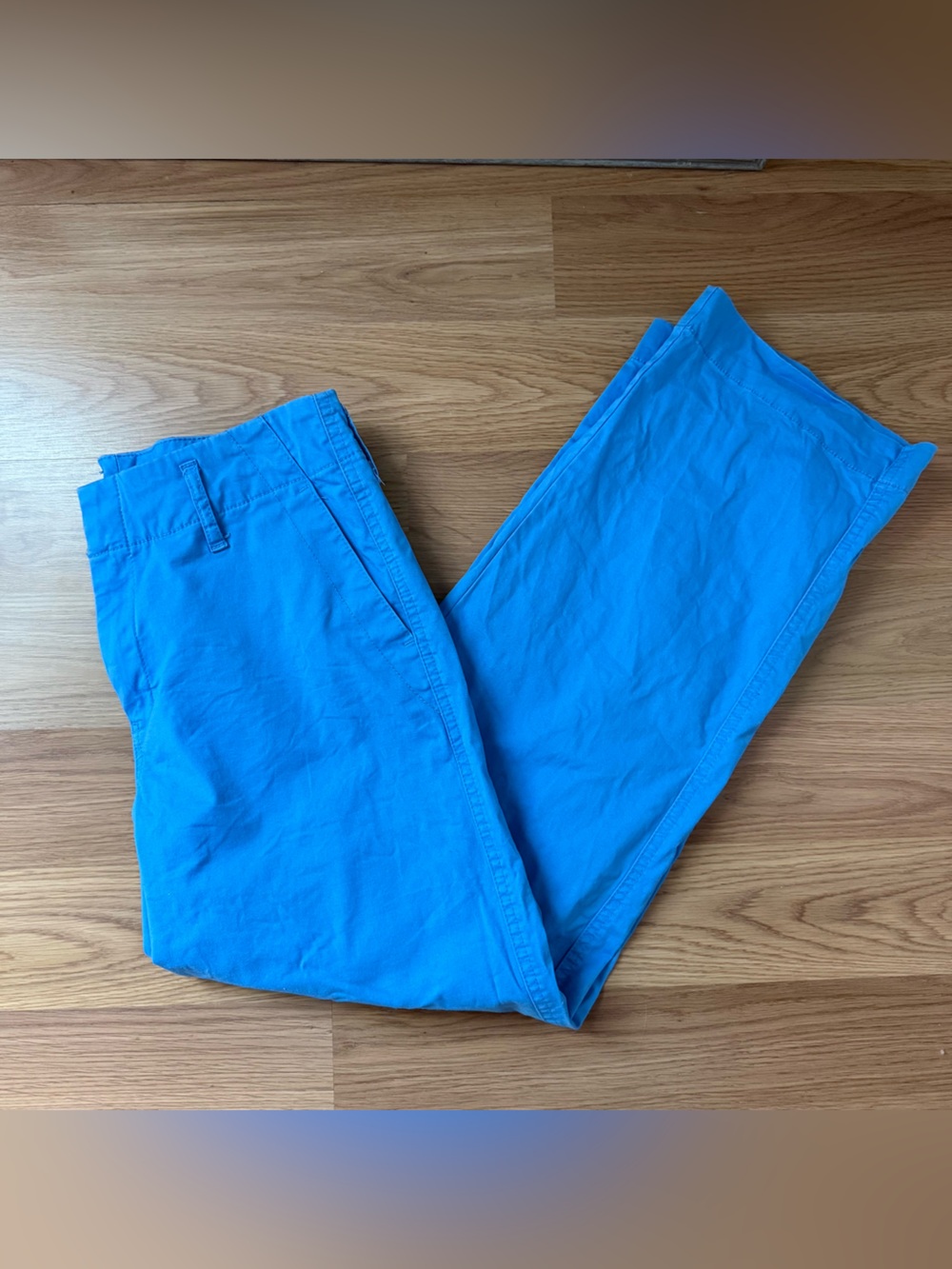 wild fable Bright Blue Women's pants